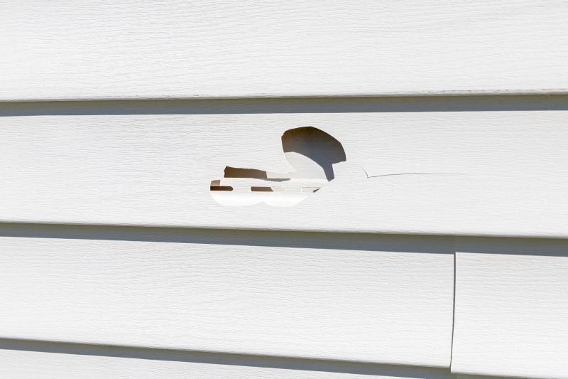 Vinyl Siding Repair Installation Image 5